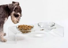 a small dog standing next to a bowl of food on a glass table with it's head in the bowl