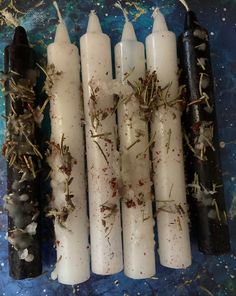 four candles with herbs on them sitting next to each other in front of a blue background