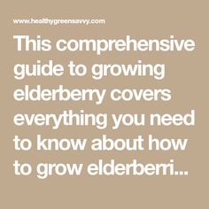 the words, this comprehentive guide to growing elderbery covers everything you need to know about how to grow elderberries