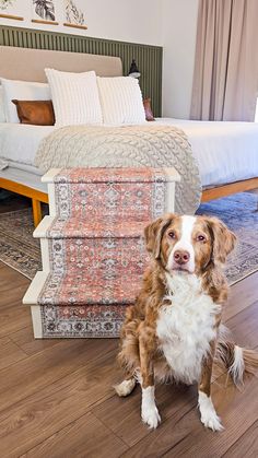 a brown and white dog sitting on top of a wooden floor next to a bed