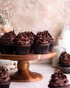 several chocolate cupcakes on a wooden stand