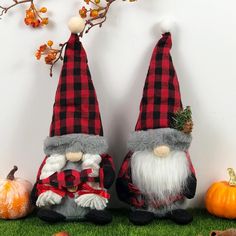 two gnomes sitting next to each other on the grass