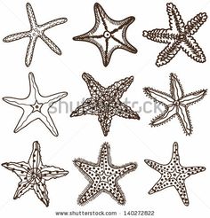 the starfishs are all different sizes and colors, but one is black and white