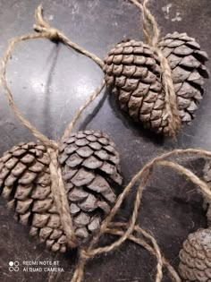 three pine cones tied to twine on a table