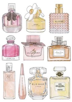 an illustration of different perfume bottles