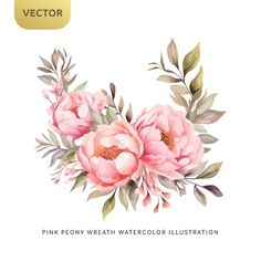 pink peony watercolor floral illustration