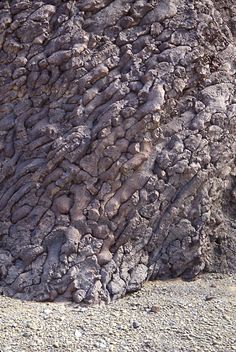 a bird sitting on the ground next to a rock