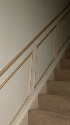 a cat is sitting on the stairs next to some carpeted steps and railings