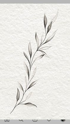 Tato Flash, Olive Branch Tattoo, Wrap Tattoo, Branch Tattoo, Stylish Tattoo, Vine Tattoos, Forearm Tattoo Women, Tattoo Ideas Female, Tattoo Bracelet