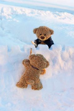 two teddy bears are sitting in the snow