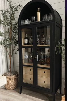 a black cabinet filled with lots of bottles and glasses next to a potted plant