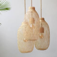 three woven vases hanging from strings in front of a white wall and palm tree