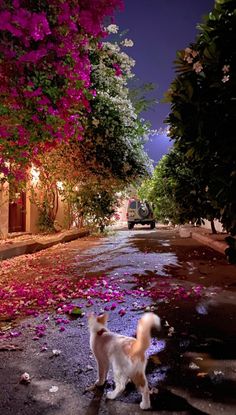 a dog standing in the middle of a street with flowers on it's side