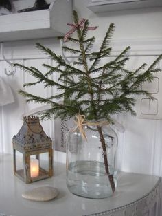 a small pine tree in a glass jar next to a lit candle on a table