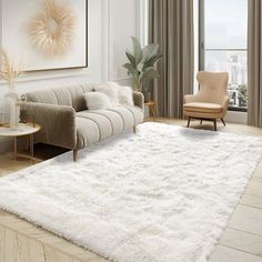 a living room filled with furniture and a white rug