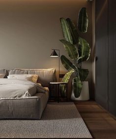 a bedroom with a large bed and a plant in the corner next to it,