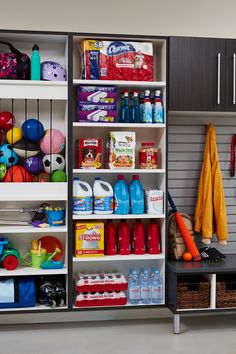 an organized garage storage area with various items on shelves and cleaning supplies in bins