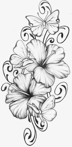 a pencil drawing of flowers with swirls and leaves on the bottom half of it