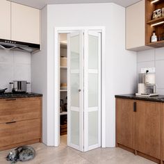 a cat laying on the floor in a kitchen next to cabinets and cupboards with open doors