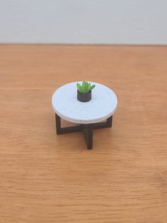 a small potted plant sitting on top of a table