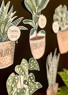 a bunch of potted plants are hanging on a bulletin board with the words, january and february