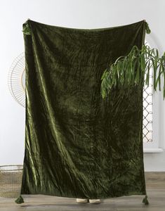 a green cloth draped over a plant in front of a white wall