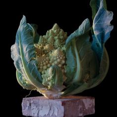 a large head of broccoli on top of a stone pedestal with leaves and flowers