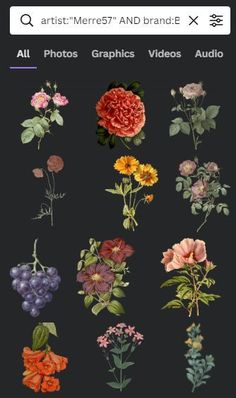 an image of different flowers and plants on a black background with the text, all photos graphics videos audio