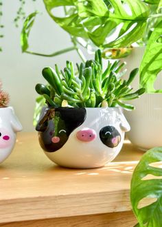 two ceramic pig planters sitting on top of a wooden table next to potted plants