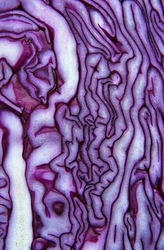 an image of red cabbage that is cut in half