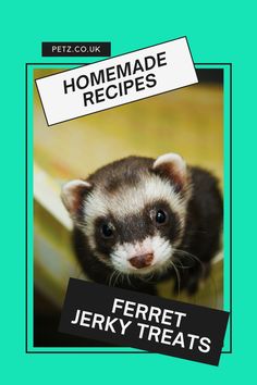 a ferret with the title homemade recipes for ferret jerry treats