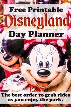 the best order to grab rides as you enjoy the park is free printable disneyland day planner