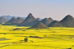 many hills are in the distance with yellow flowers growing on them and green fields below