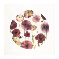 an image of flowers in a circle on a white background with watercolors and ink