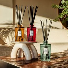 three different types of reeds on a table in front of a potted plant