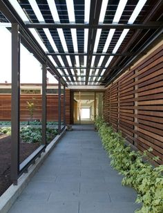 the walkway is lined with plants and wooden slats