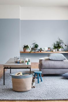 a living room filled with furniture and plants