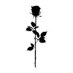 Trust None, Rose Tattoo Black, Dark Roses Tattoo, Black Rose Tattoo, Tato Minimal, Rose Hand Tattoo, Black Rose Tattoos, Inkbox Tattoo, Blue Tattoo