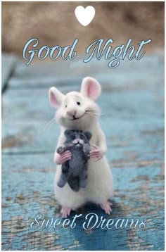 a mouse holding a stuffed animal in it's paws with the words good night sweet dreams