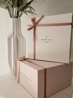 a white vase with a plant in it next to a pink and white gift box