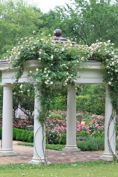 an outdoor garden with white pillars and flowers