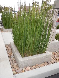 a planter filled with lots of green plants on top of a cement block next to rocks