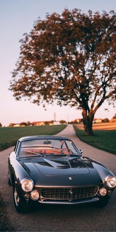 an old black sports car parked on the side of a road next to a tree