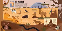 an illustrated map of the savannah with animals and other things to see on it's side