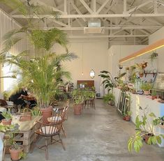 a room filled with lots of potted plants next to tables and chairs in front of windows