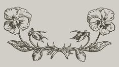 an image of flowers that are drawn in black and white on a gray background, vintage line drawing or engraving