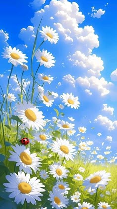 daisies and ladybug in the grass under a blue sky with white clouds