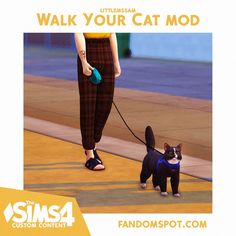 a woman walking her cat on a leash with the caption walk your cat mod