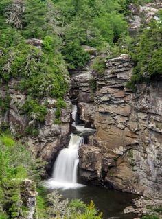 a waterfall in the middle of a forest