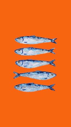 five small fish floating in the air on an orange background